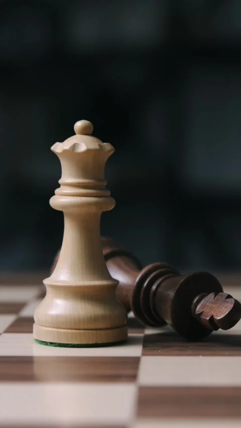 Chess pieces arranged on the chessboard, the black king is checkmated Stock Footage 293681330