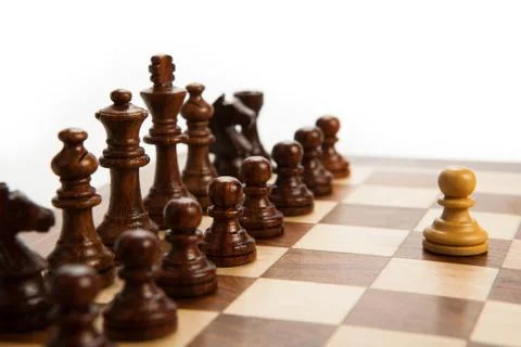 Chess pieces on the board Stock Photos