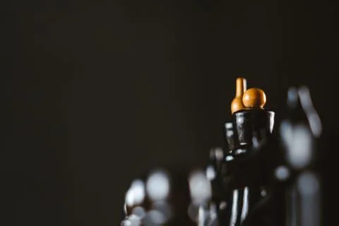 Chess pieces on the Board Stock Photos