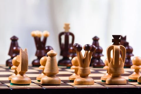 Chess pieces on the board Stock Photos