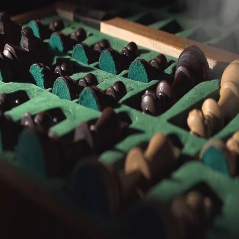 Chess pieces in a case Video stock 69541591