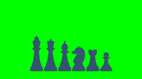 Chess pieces. King, queen, bishop, pawn, knight, knight, rook. Board game. Black Stock Footage 319633666
