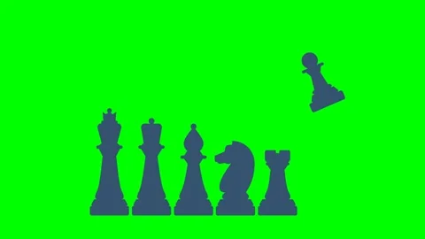Chess pieces. King, queen, bishop, pawn, knight, knight, rook Stock Footage 321600301