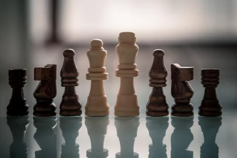Chess pieces lined up on a table white and black Stock Photos