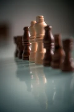 Chess pieces lined up on a table white and black Stock Photos
