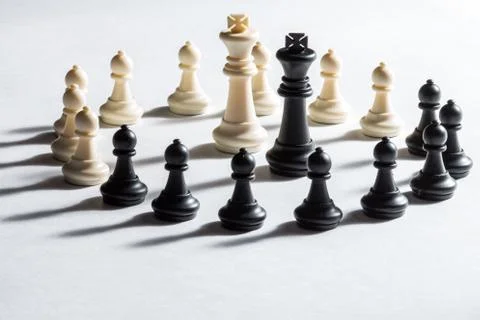 Chess pieces on a white background Stock Photos