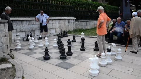 Chess Players Stock Footage 197064613