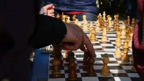 Chess Playing In The Park Stock Footage 88624142