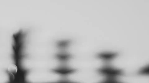 Chess Queen Radial Dolly Stock Footage 61110192