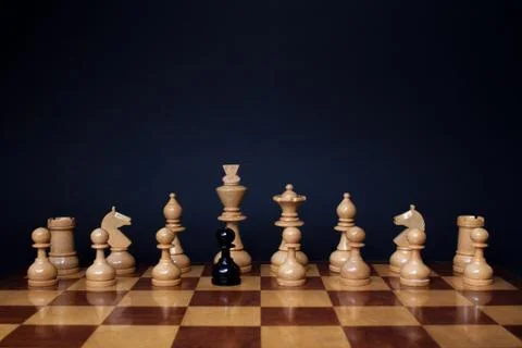 Chess racism Stock Photos