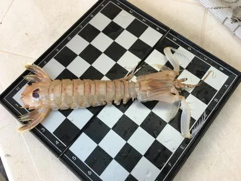 Chess Shrimp Foto stock