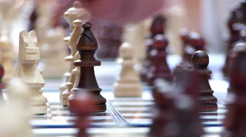 Chess Tournament Outdoors  Stock Footage 40330718