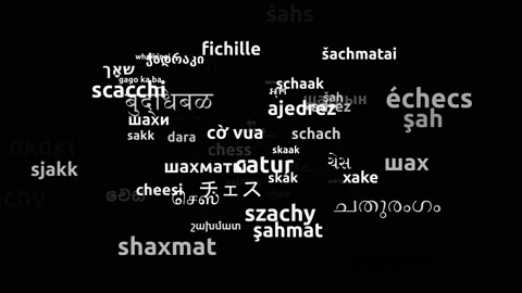 Chess Translated in 65 Worldwide Languages Endless Looping 3d Zooming Wordclo Stock Footage 145193609
