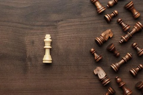 Chess uniqueness concept over grey background Stock Photos