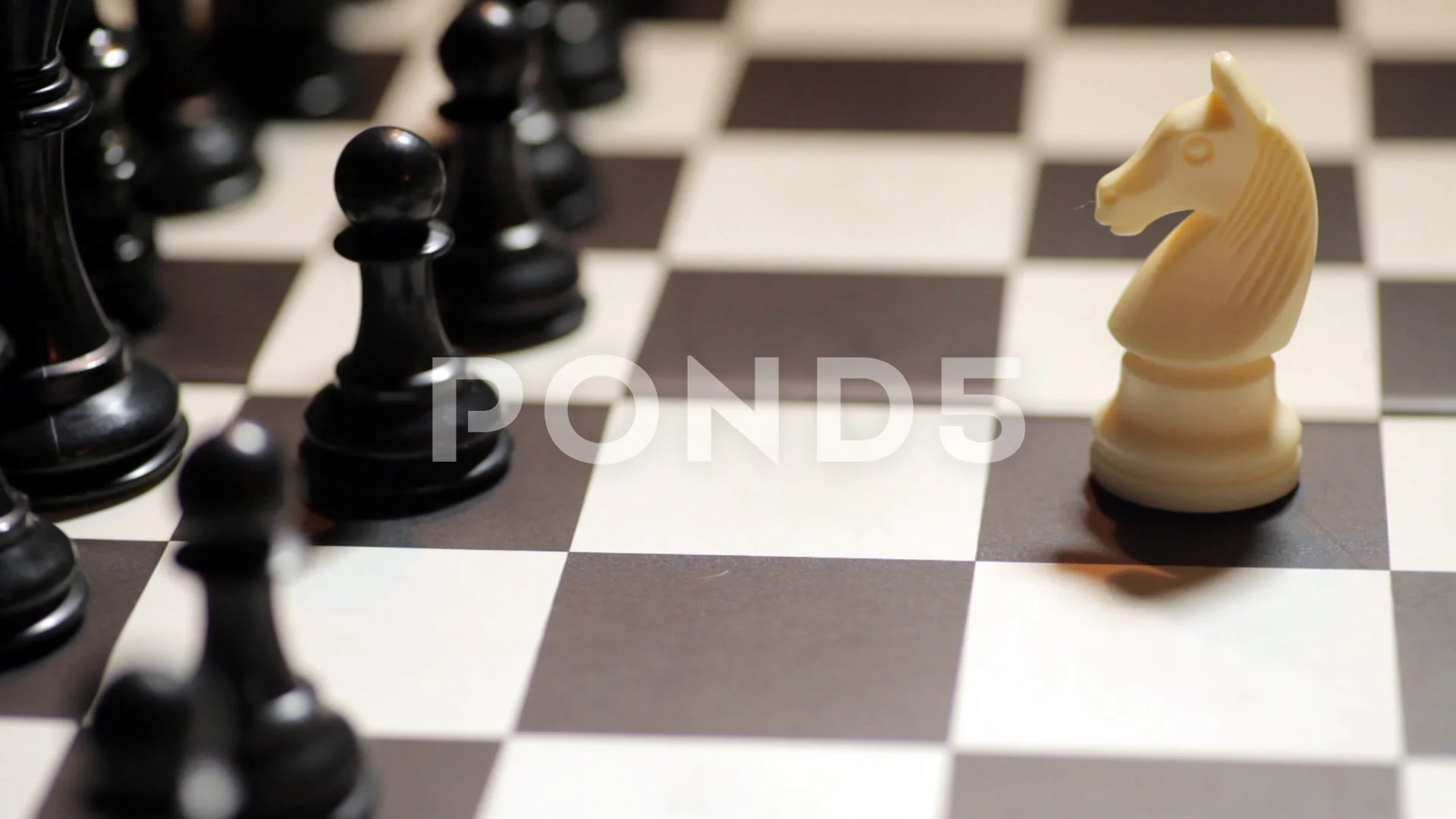 3,100+ Queen Chess Piece Stock Videos and Royalty-Free Footage