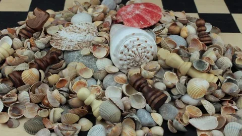 On a chessboard seashells Stock Footage 81263369