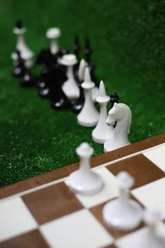 Chessmen 1 Stock Photos