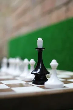 Chessmen 2 Stock Photos