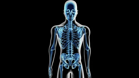 Chest Anatomy Labeled 스톡 동영상 112579434
