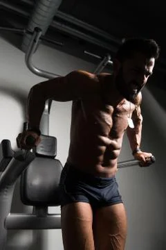 Chest And Triceps Exercise on Parallel Bars 스톡 사진