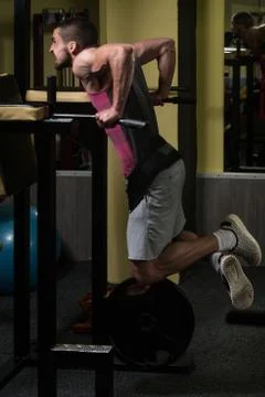 Chest And Triceps Exercise on Parallel Bars Stock Photos