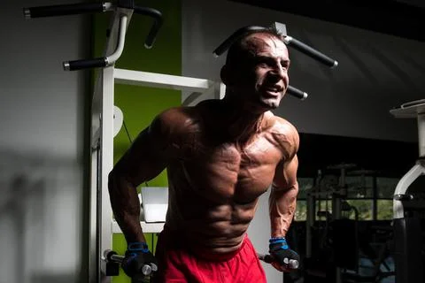 Chest And Triceps Exercise on Parallel Bars Stock-Fotos