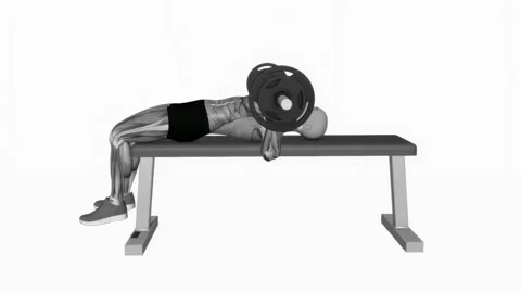 Chest Bench Press Correct stance fitness exercise workout animation male muscle  Stockbeeldmateriaal 243985752