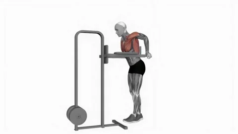 Chest Dip (on dip pull-up cage) fitness exercise workout animation male muscle h Video stock 243985753