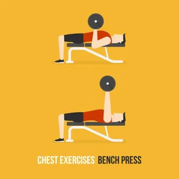 Chest Exercises. Bench Press. Stock Illustration