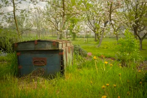 Chest in garden Stock Photos