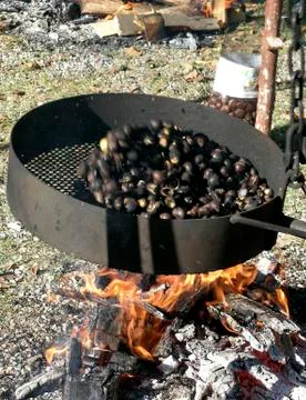 Chestntuts cooked on the fire Stock Photos