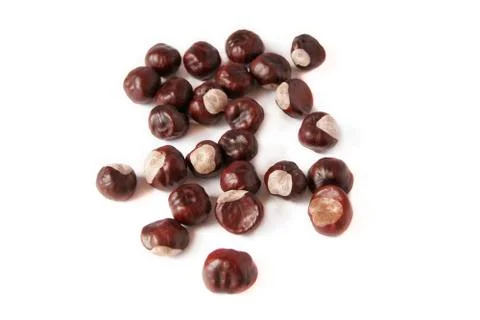 Chestnut 02 Stock Photos