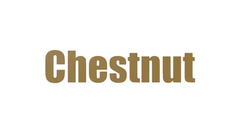 Chestnut Animated Wordcloud On White Background Stock-Footage 107243347