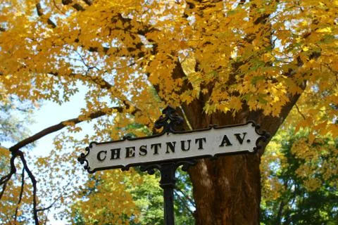Chestnut Ave in Fall Stock Photos