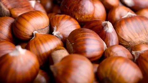 Chestnut background Stock Photos