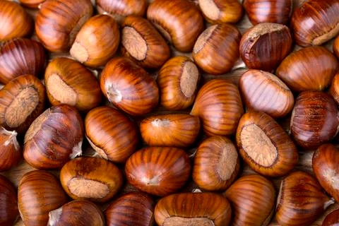 Chestnut background Stock Photos