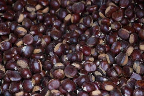 Chestnut background Stock Photos