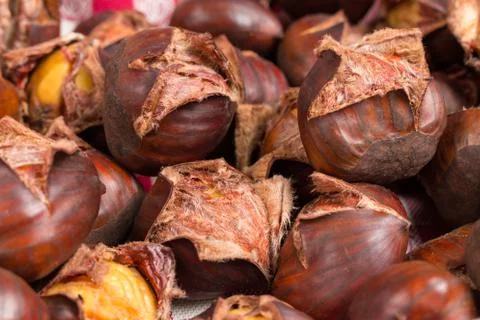 Chestnut brown and cooked open Stock Photos