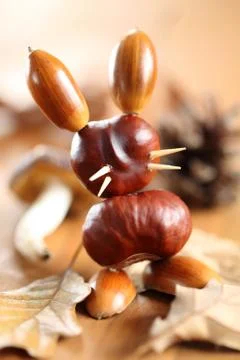 Chestnut bunny Stock Photos