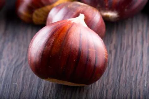 Chestnut in close up Stock Photos