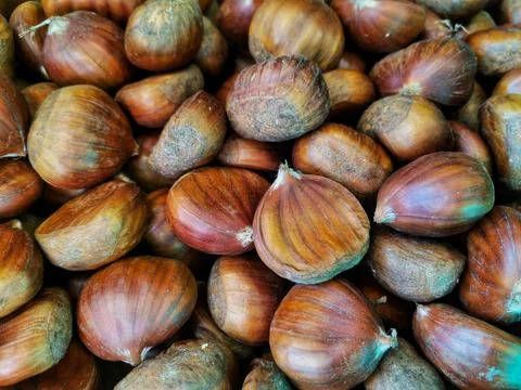 Chestnut. Cooking chestnuts. Foto stock