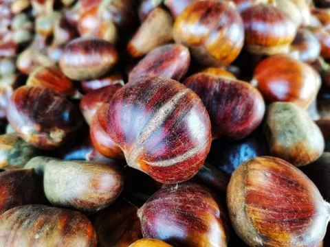 Chestnut. Cooking chestnuts. Stock Photos