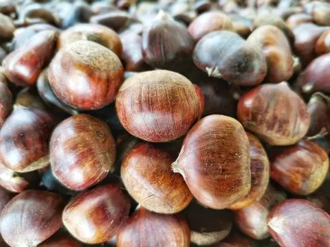 Chestnut. Cooking chestnuts. Stock Photos