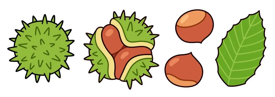 Chestnut doodle drawing set Stock Illustration