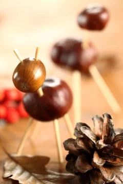 Chestnut figurines Stock Photos