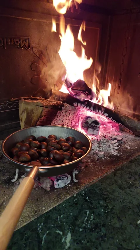 Chestnut, fireplace Video stock 221451093