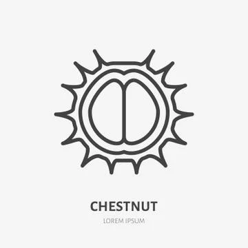 Chestnut flat line icon. Vector thin sign of nut, healthy food outline Stock Illustration