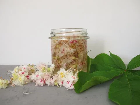 Chestnut flower extract Stock Photos