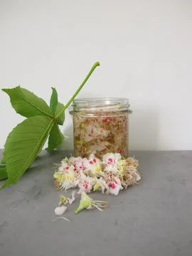Chestnut flower extract Stock Photos