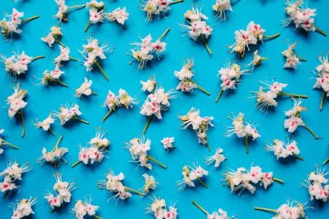 Chestnut flowers pattern Stock Photos